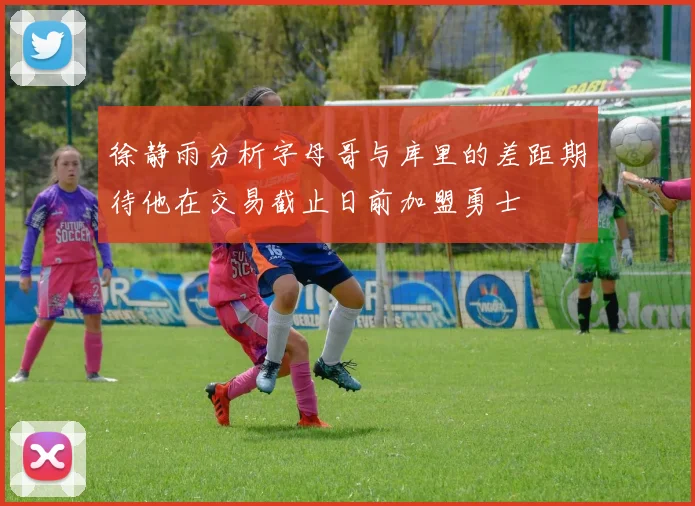 徐静雨分析字母哥与库里的差距期待他在交易截止日前加盟勇士