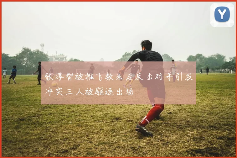 张淳智被推飞数米后反击对手引发冲突三人被驱逐出场